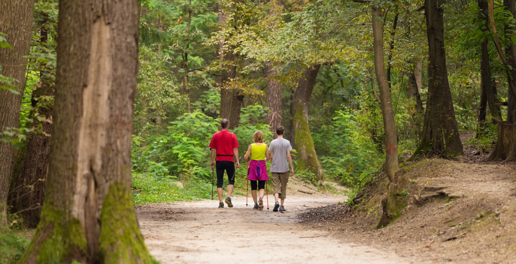 Tres personas paseando por un bosque 