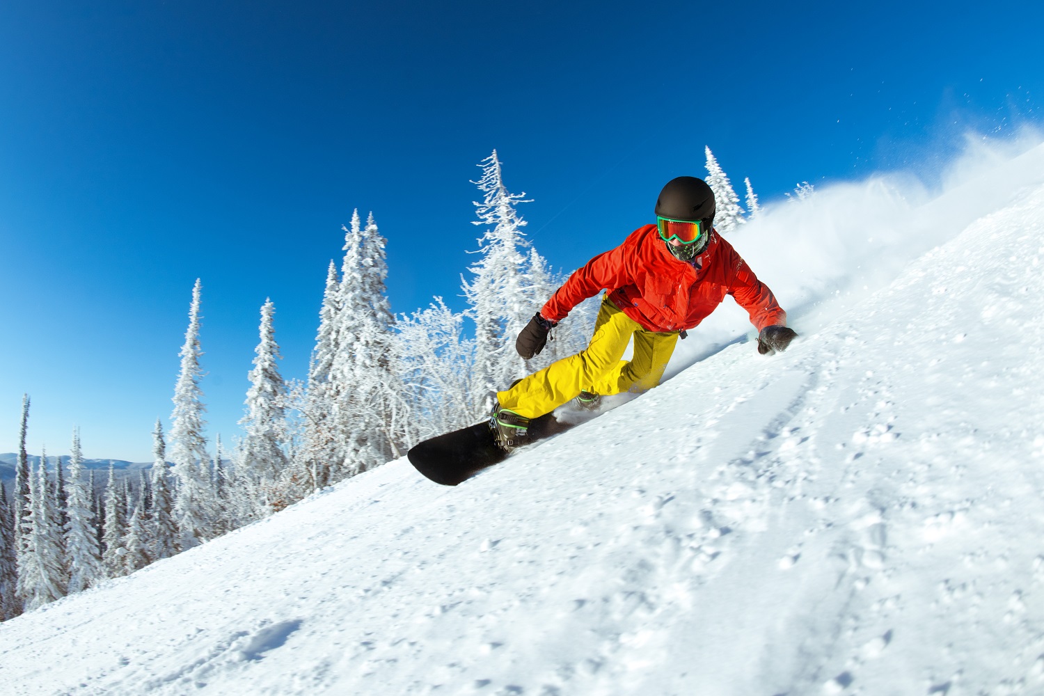 Snowboard con freeride 