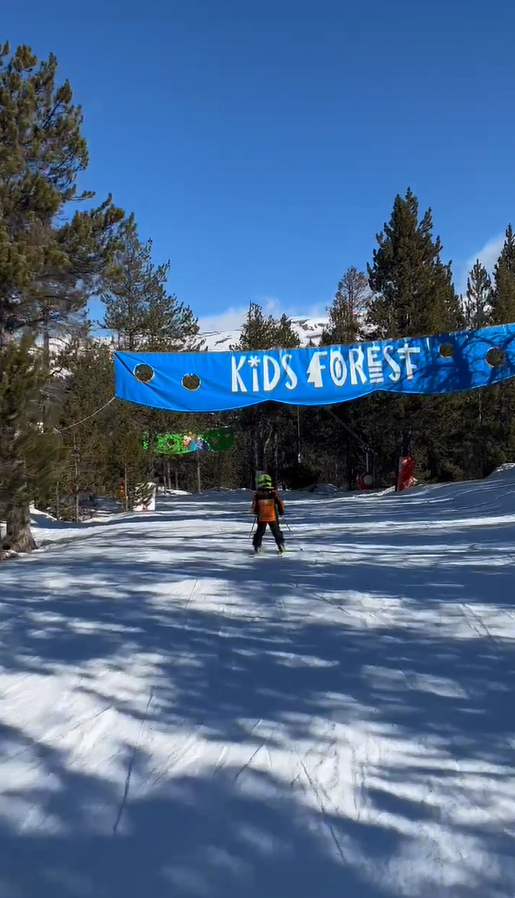 Niños esquiando en la nieve 