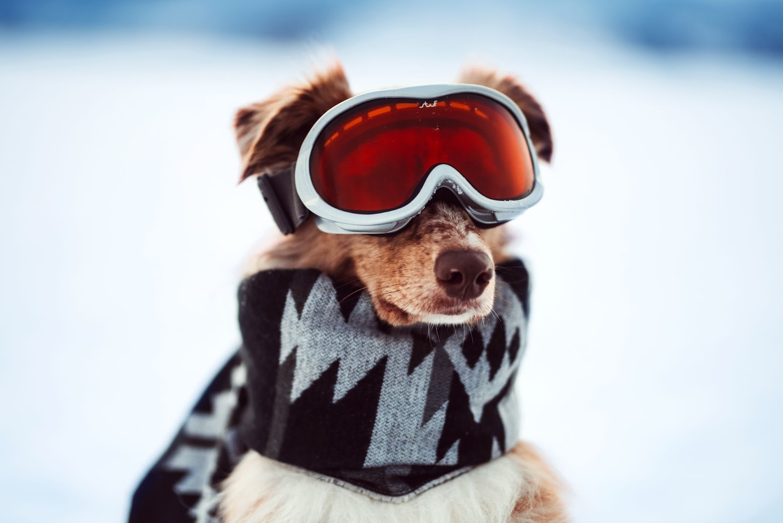 Tipos de gafas de snowboard: ¿Con cuál me quedo?